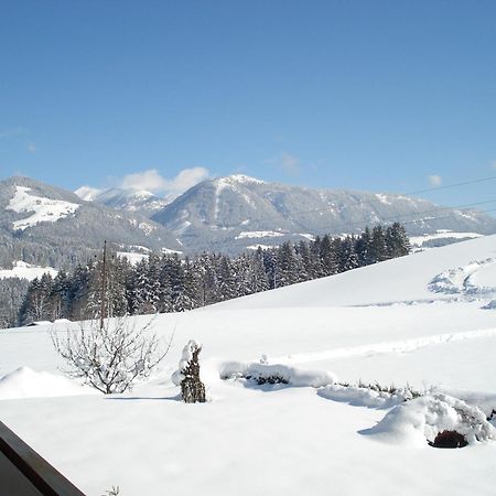 Unterwoetzlhof Hotel Abtenau Luaran gambar