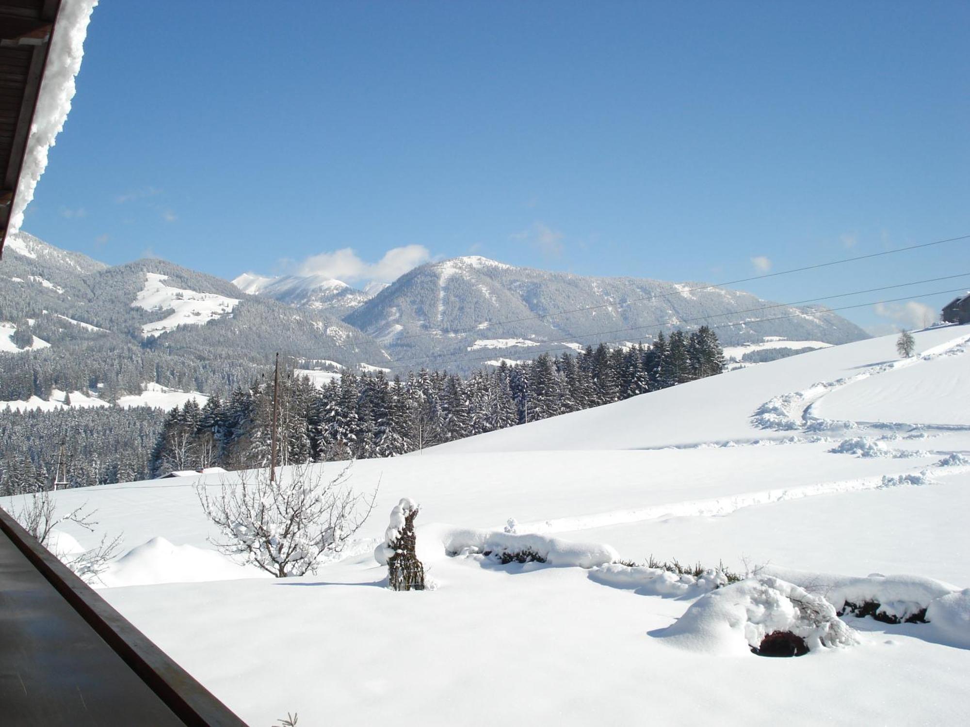 Unterwoetzlhof Hotel Abtenau Luaran gambar